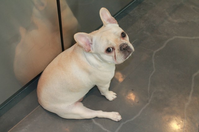 and she's actually down a few lbs!